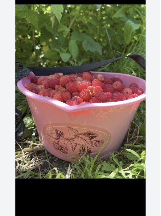 Малина!Свежемороженая малина!