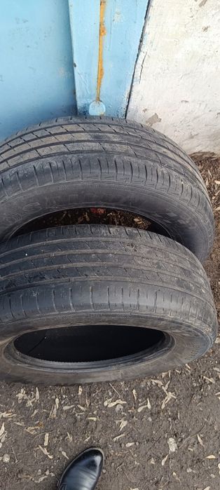 Продам шины 15 205/65