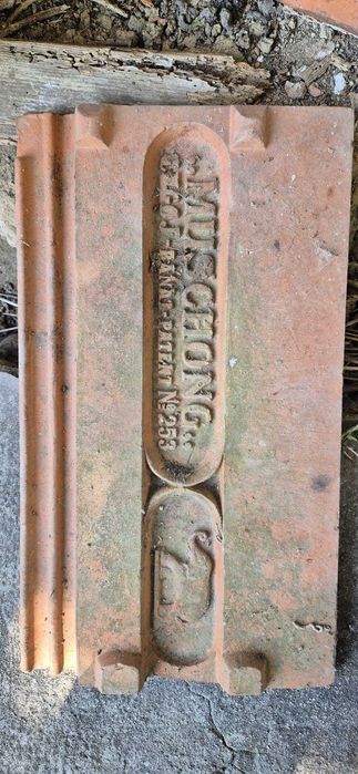 Tigla groasa Muschong elefant facuta la Lugoj