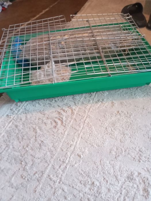 Клетка для живот