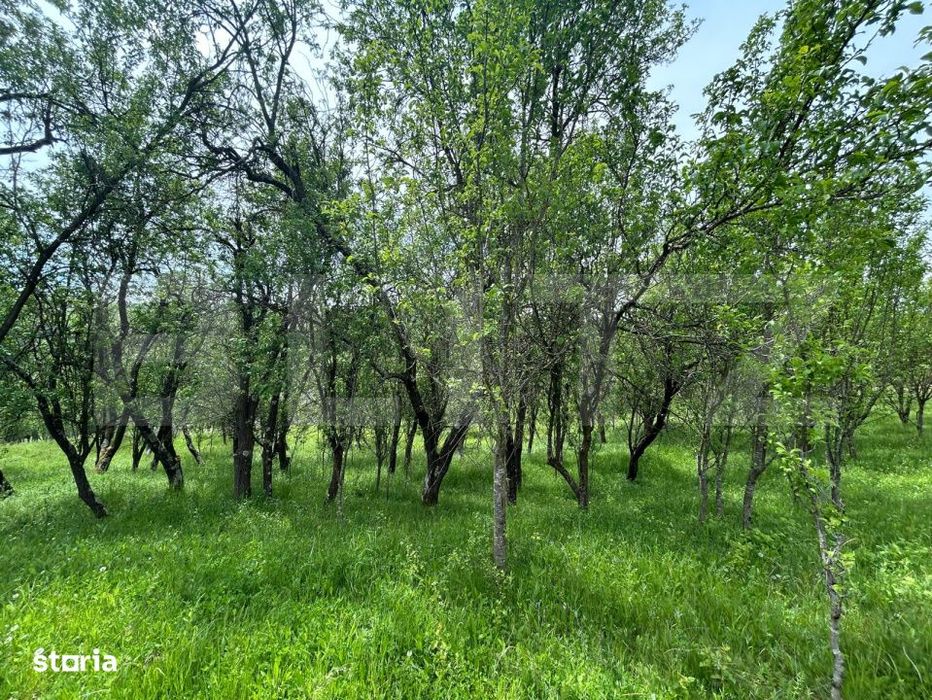 Proprietate exclusivista cu potential urias in Bunesti, judetul Cluj!