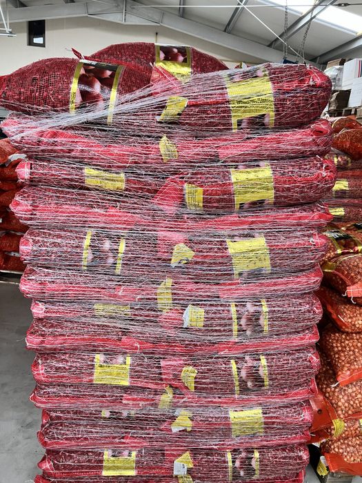 Depozit Arpagic Olanda diferite soiuri Stuttgarter, Sturon, Red Karmen