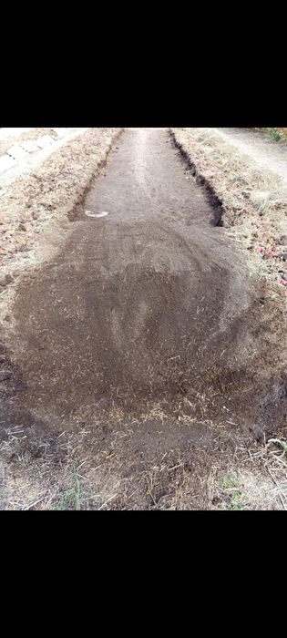 Продам биогумус органический