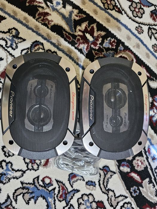 Pioner champion 550w kalonka