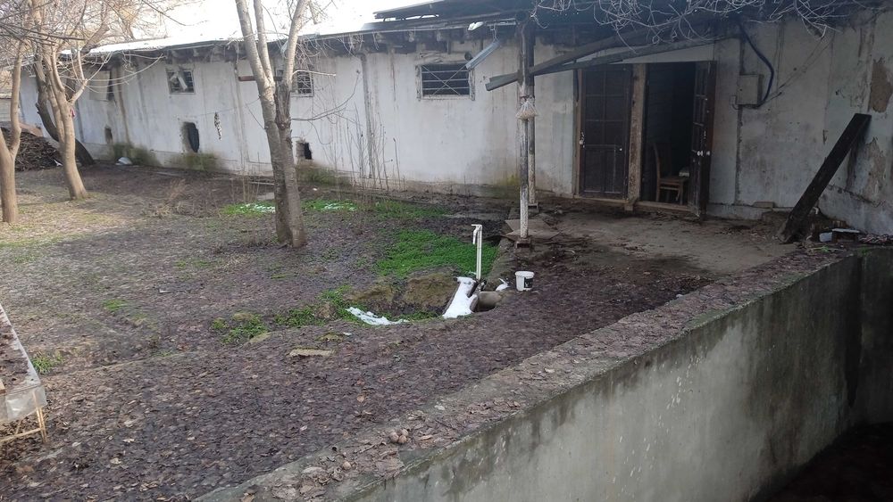 Uchastka ijaraga beriladi