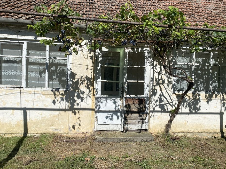 Vand casa in Firiteaz , comuna Sagu , judetul Arad