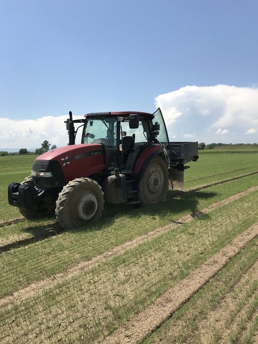 Vanzare Case MXU 115