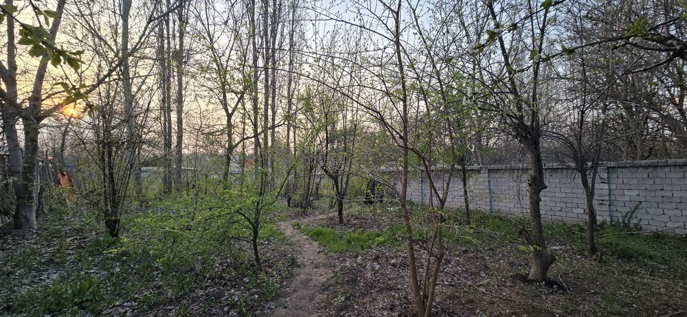 Продам дачу (без маклер)