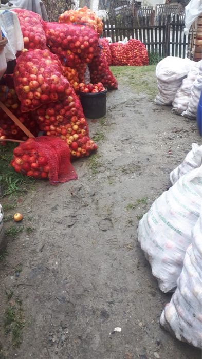 Mere de industrie / suc