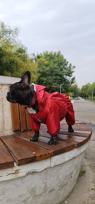 Одежда для собаки от TURKAN.