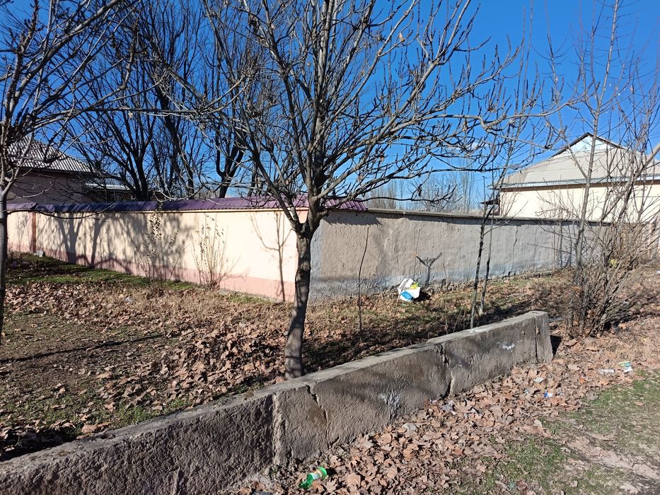 Участка кадастир мавжуд