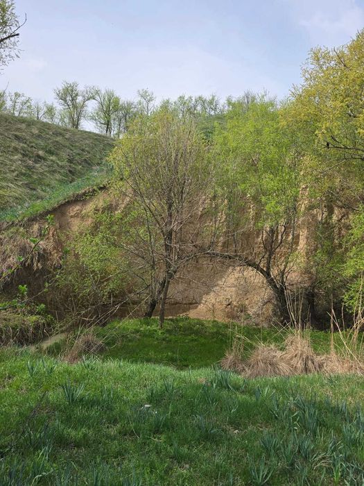 Продается дом-дача с хоз.постройками рядом речка