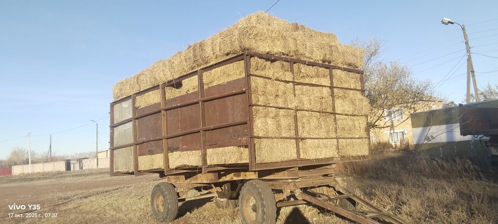 Сено тюках 800тг
