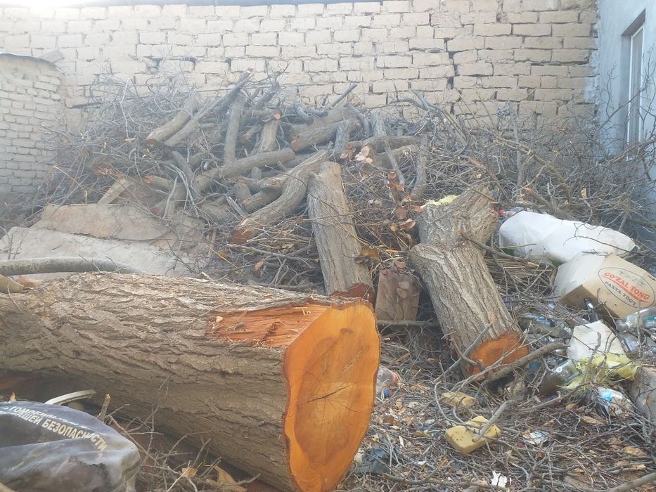 Утин сотилади. кесилган.