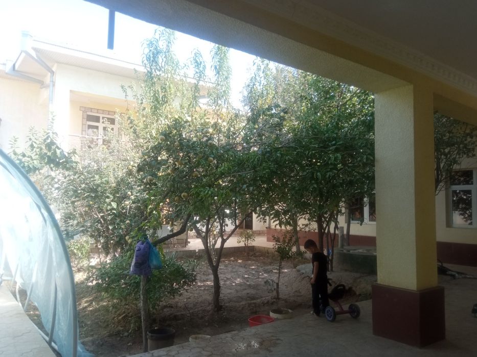 Qarshi shaxri ped instut oldida  ijaraga  abuturent va instut  qizlarn