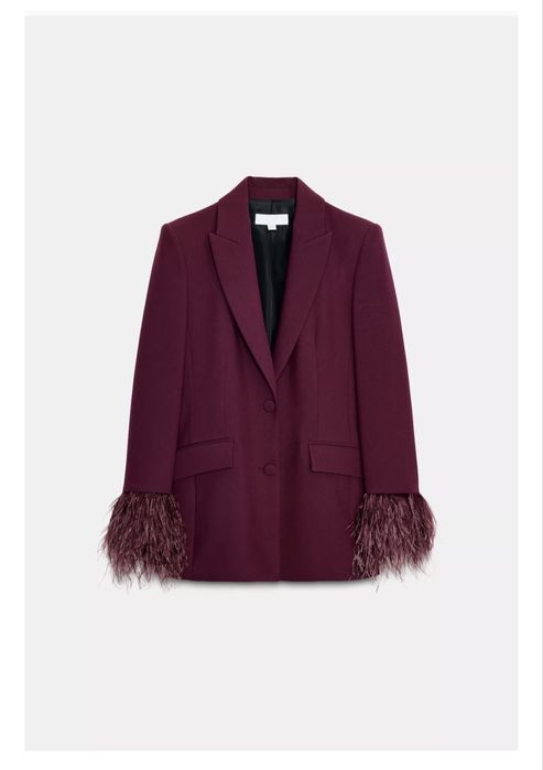 Блейзър с пера ZARA