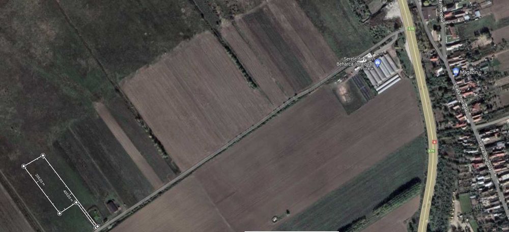 Teren agricol 6000mp Beharca (Cotofenii din Fata) - proprietar