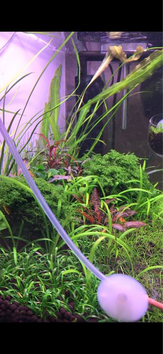 Week aqua M 400 pro