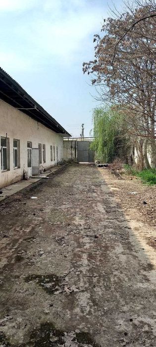 12 сотих жой сотилади бинолари билан