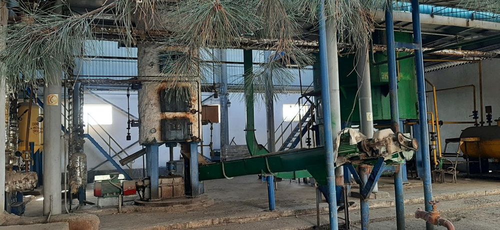 Маслоэкстрактный завод с общей площадью 1.5 гектара.