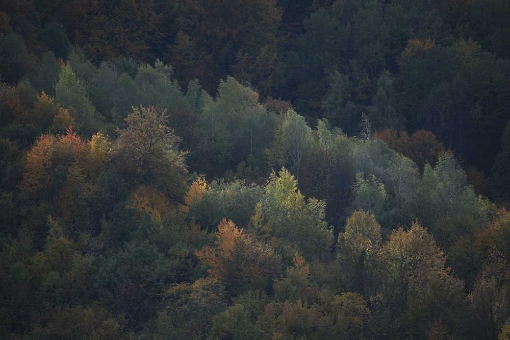 Nikon Z6 II mirrorless