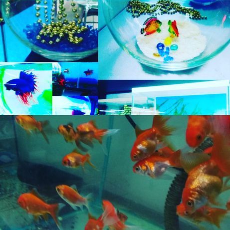 Аквариум 100л.Навои Торайгырова