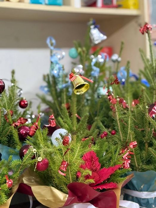 Композиции из Ели