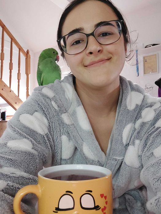 Pet sitter, Cluj-Napoca