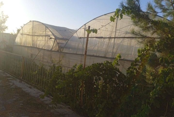 Таер бизнес типлиса сотилади