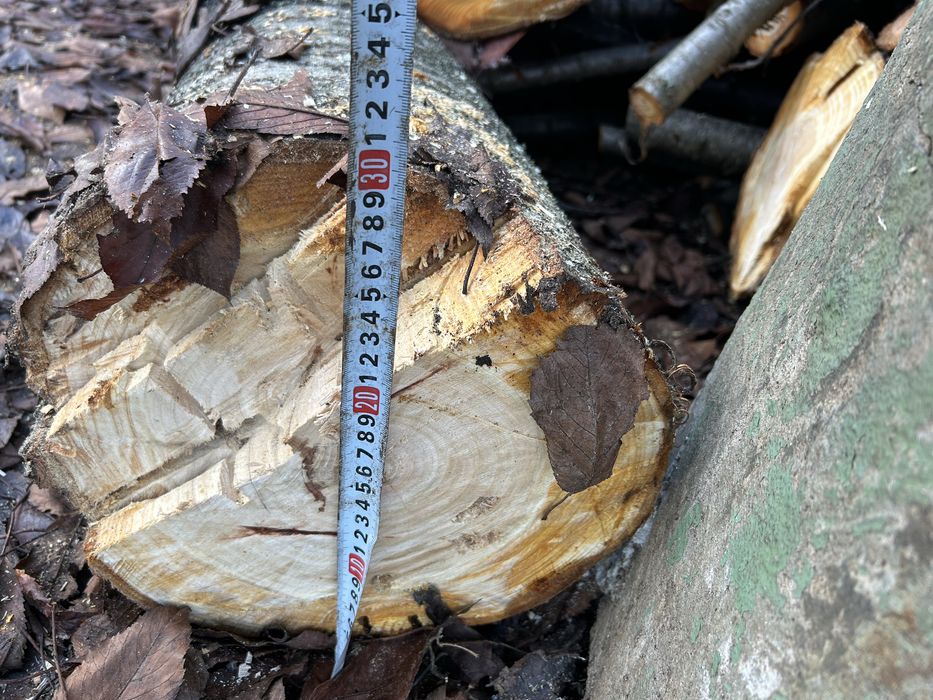 Черешов дървен материал