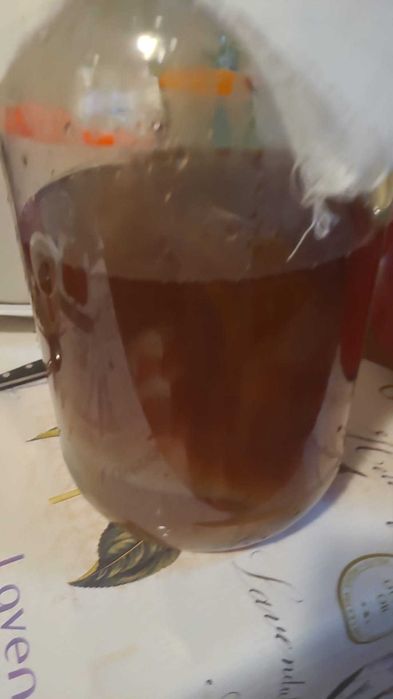 Kefir de lapte apa cristale japoneze chefir ciuperca tibetana kombucha