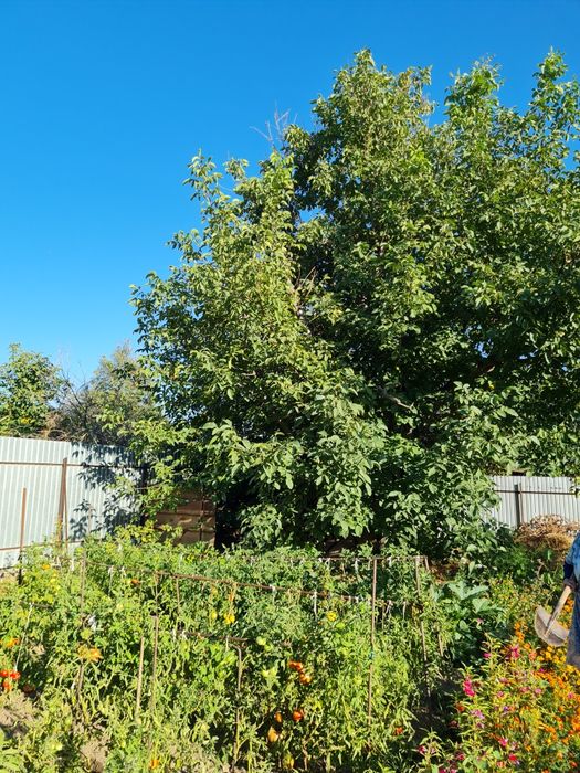 Жилой дом  продам.