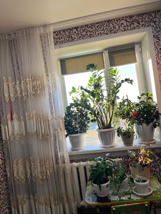 Сдам или продам квартиру