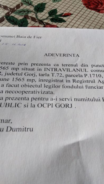 Teren Baia de Fier -Peștera