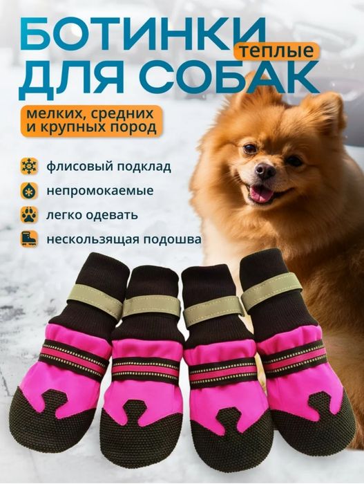 Обувь Ботинки для Собак