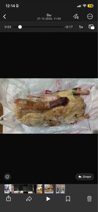 Домашние гуси с бесплатной доставкой