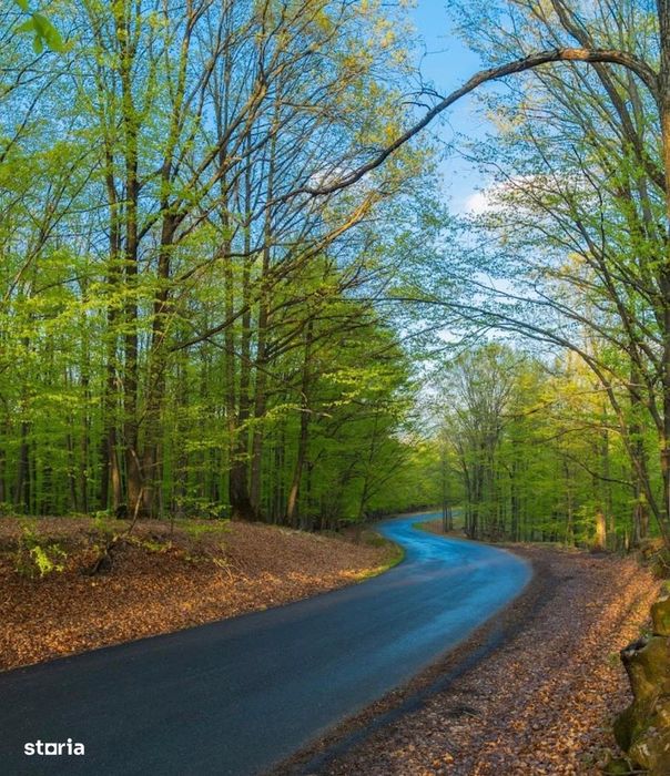 Vanzare teren Slanic Prahova- platoul Teisani