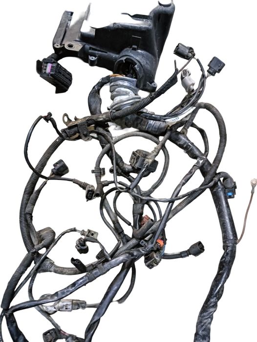 Instalatie Electrica Motor Automat Audi A4 Iii 8Ec, B7 2004 - 2008 2.0