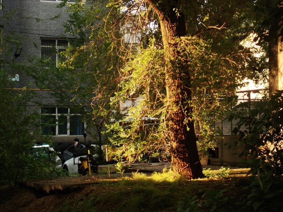 sony cybershot dsc-n2
