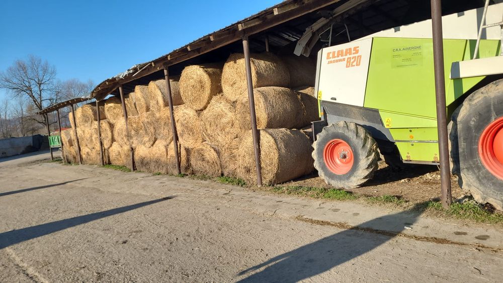 Baloti fan 250-500.Rotunzu 40.Fan or Lucerna.La TIR>RO.Ferma chirie

B