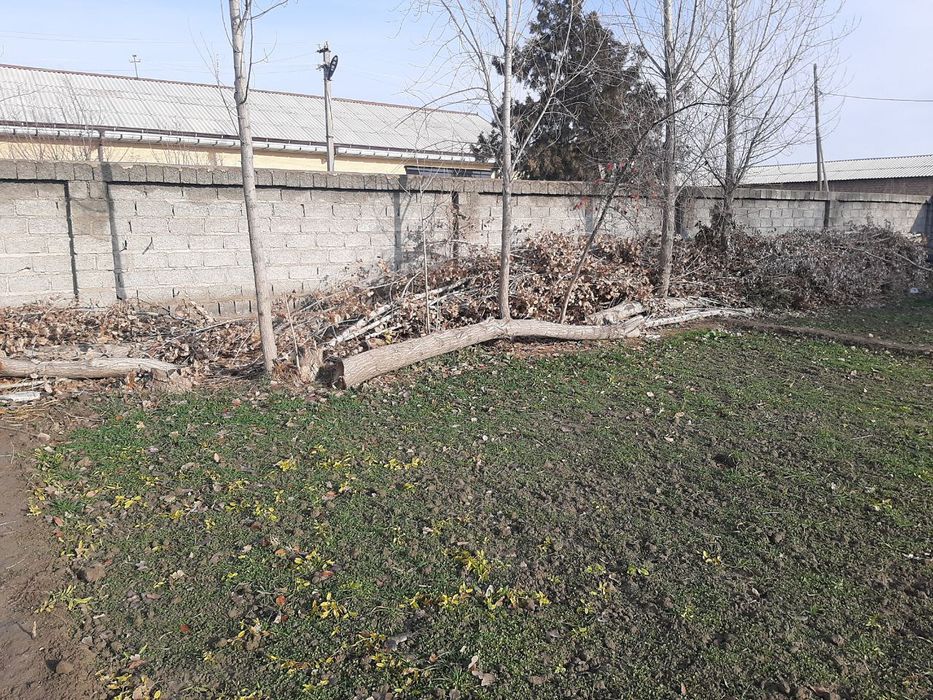 Utin sotiladi  va temirlar