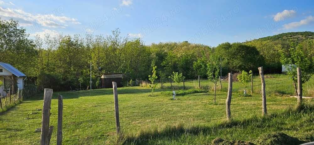 Teren intravilan Spre Manastirea Feredeu Șiria Jud. Arad