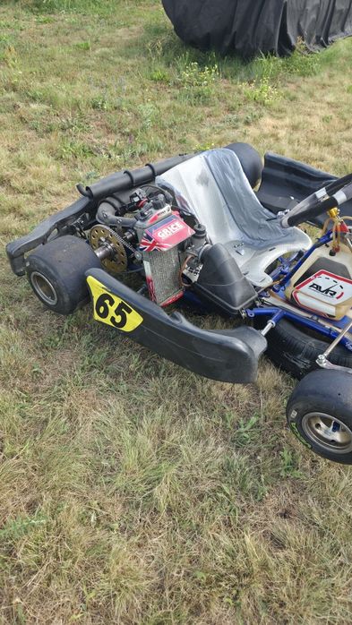 Картинг ROTAX senior