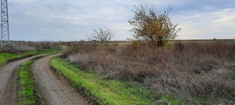 Парцел земеделска земя