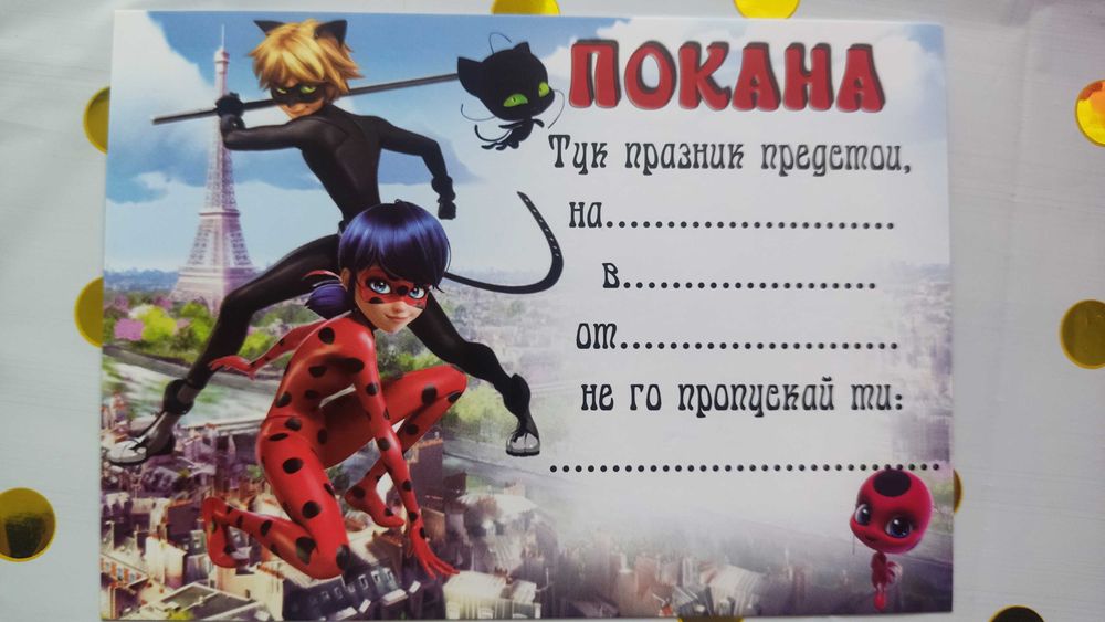 Украса/декорация за детски рожден ден/парти Калинката и Черния котарак