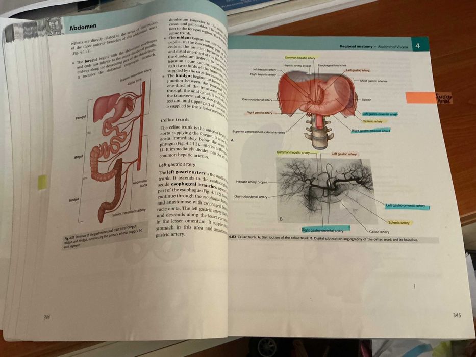 Sobotta Anatomy Books