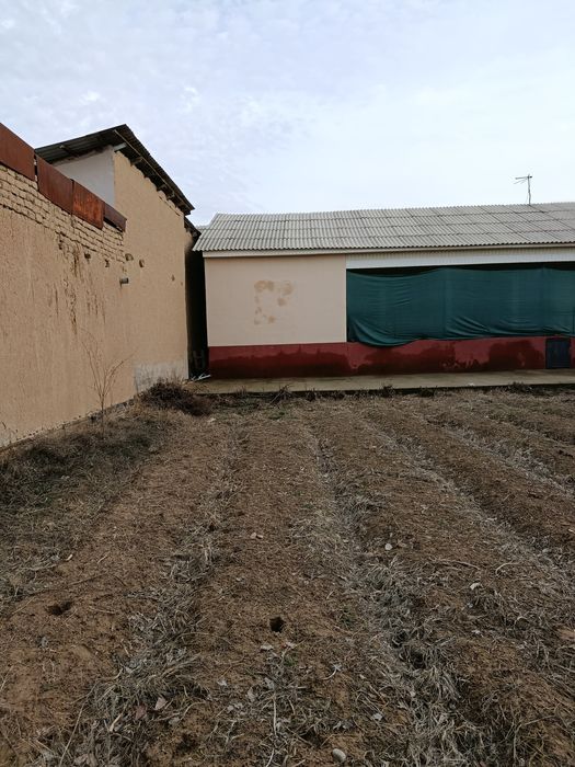 Toshkent shahar Yangihayot tumanida 2.5 sotox yer  sotiladi