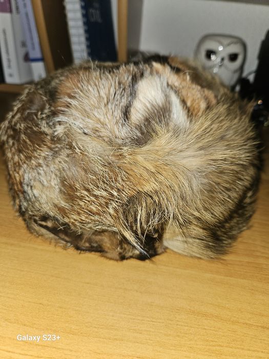 Caciula din blana naturala de vulpe