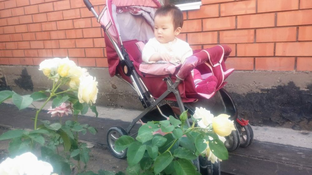 Продам детскую  коляску