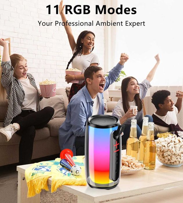 ALPOWL MAIKELU Професионално караоке, караоке 2 микрофона